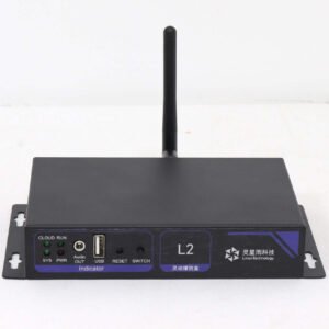 Linsn Technology L2 Synchronous-Asynchronous LED Sending Box